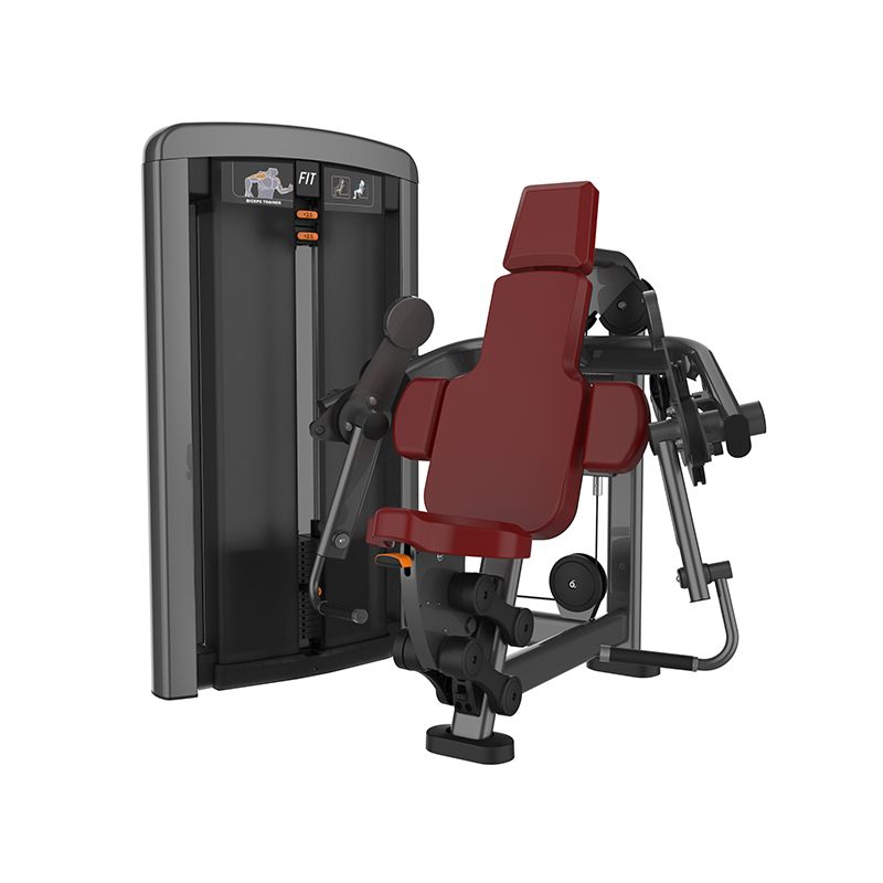 SYT-L1030二头肌训练器