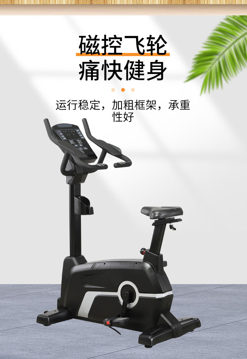 单车_06.jpg