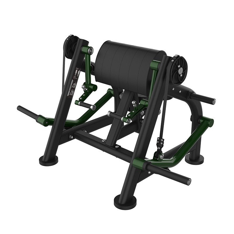 SYT-A753 分动式二头肌