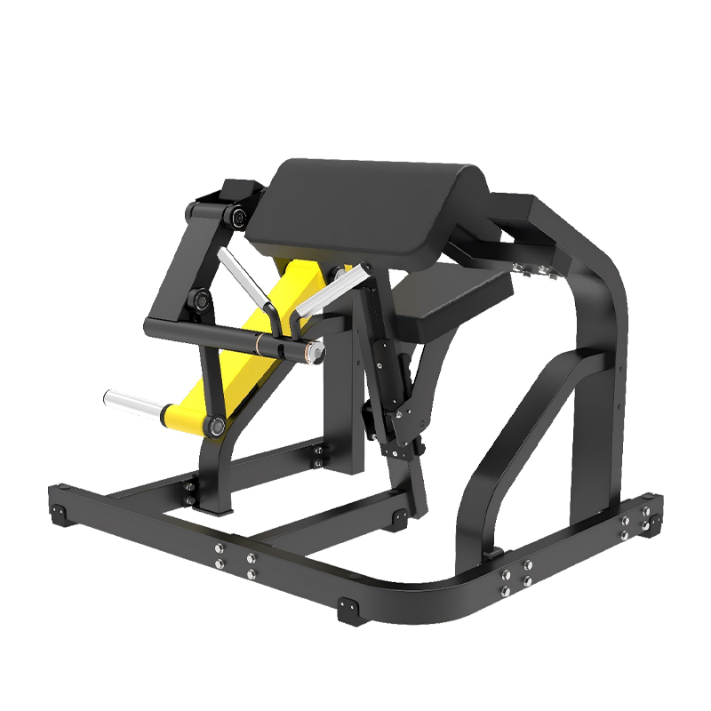 SYT-K396二头弯举训练器